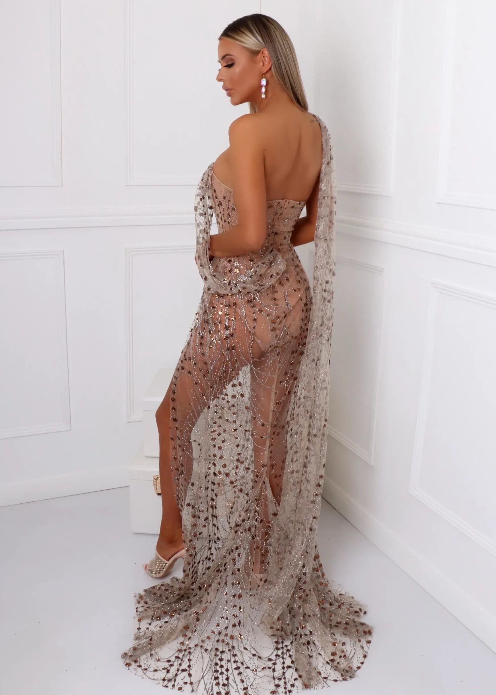 Diamond Nights Glitter Mesh Maxi Dress - Bronze|DressMeZee Discount