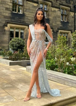 Diamond Nights Glitter Mesh Maxi Dress - Silver|DressMeZee Sale
